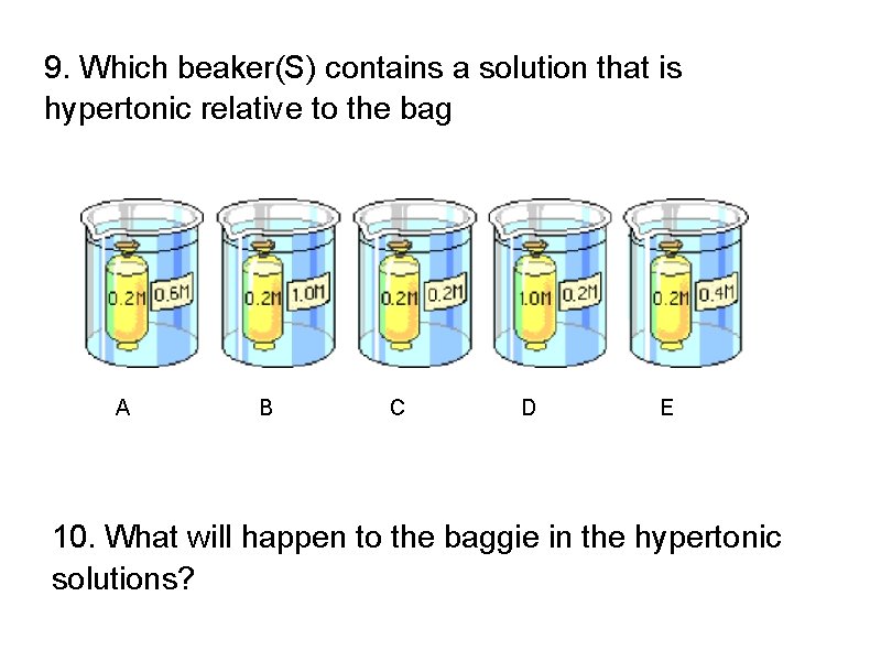 9. Which beaker(S) contains a solution that is hypertonic relative to the bag A