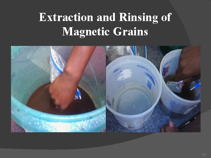 Extraction and Rinsing of Magnetic Grains 11 