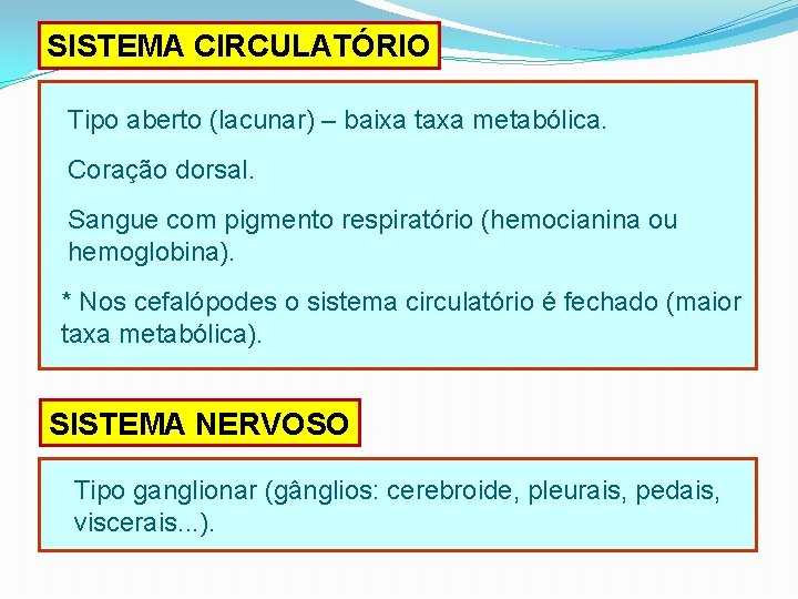 SISTEMA CIRCULATÓRIO Tipo aberto (lacunar) – baixa taxa metabólica. Coração dorsal. Sangue com pigmento