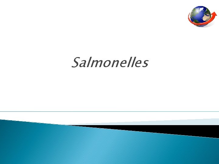 Salmonelles 