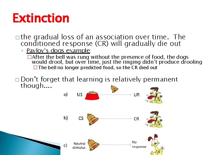 Extinction � the gradual loss of an association over time. The conditioned response (CR)