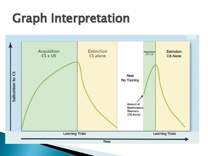 Graph Interpretation 