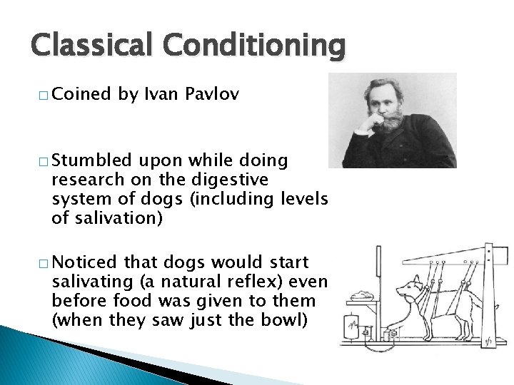 Classical Conditioning � Coined by Ivan Pavlov � Stumbled upon while doing research on