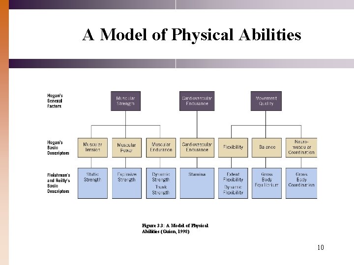 A Model of Physical Abilities Figure 3. 3: A Model of Physical Abilities (Guion,