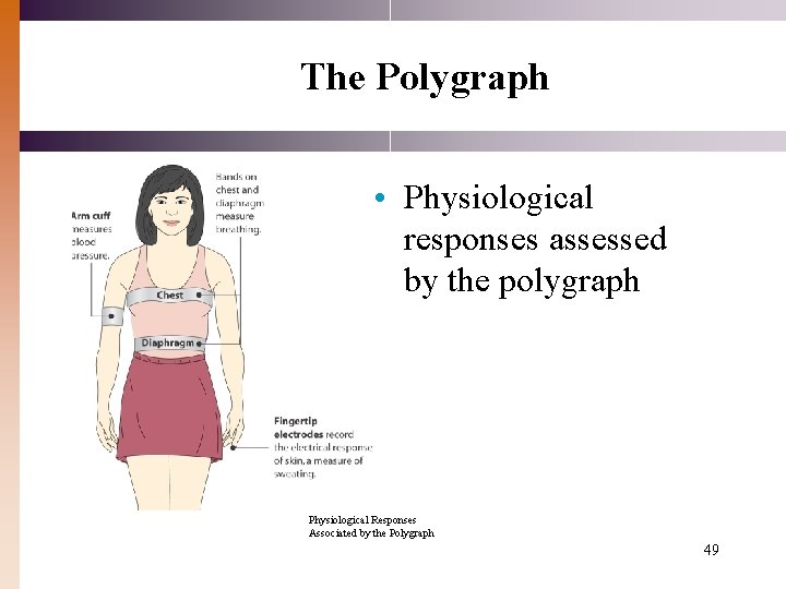 The Polygraph • Physiological responses assessed by the polygraph Physiological Responses Associated by the