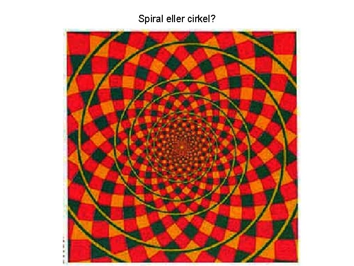 Spiral eller cirkel? 