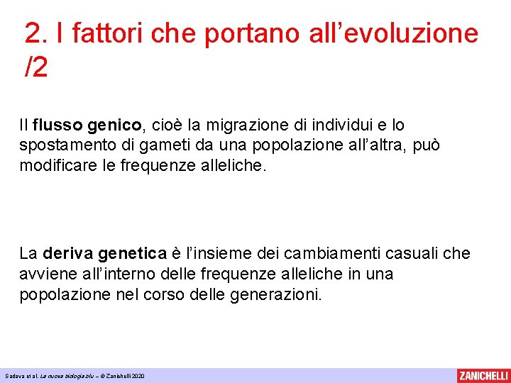 2. I fattori che portano all’evoluzione /2 Il flusso genico, cioè la migrazione di