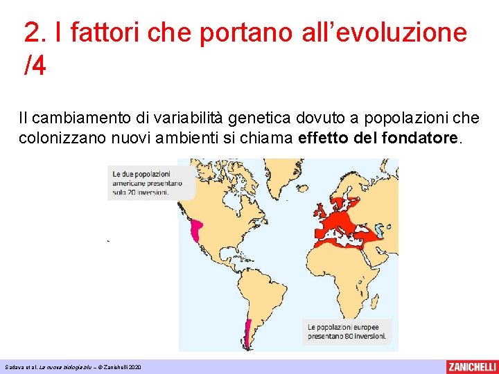 2. I fattori che portano all’evoluzione /4 Il cambiamento di variabilità genetica dovuto a