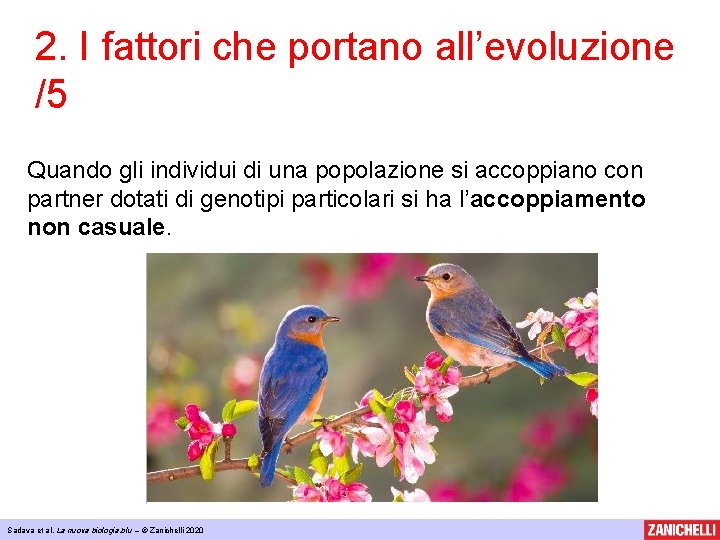 2. I fattori che portano all’evoluzione /5 Quando gli individui di una popolazione si