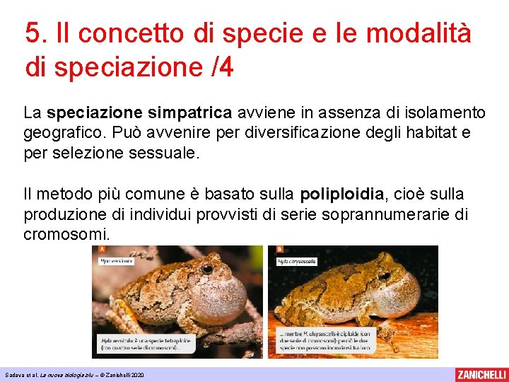 5. Il concetto di specie e le modalità di speciazione /4 La speciazione simpatrica