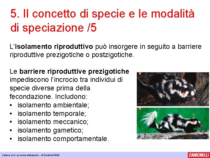 5. Il concetto di specie e le modalità di speciazione /5 L’isolamento riproduttivo può