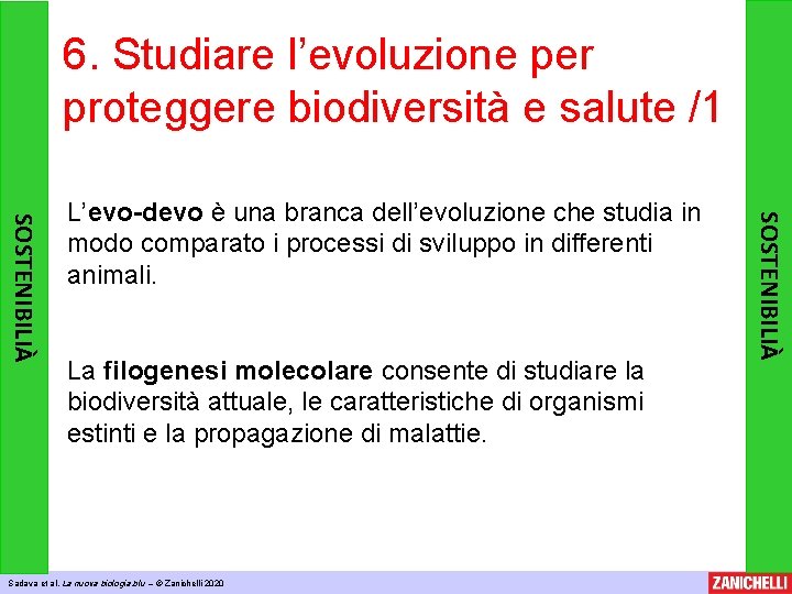 6. Studiare l’evoluzione per proteggere biodiversità e salute /1 La filogenesi molecolare consente di