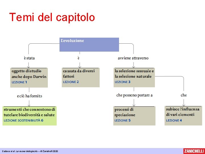 Temi del capitolo Sadava et al, La nuova biologia. blu – © Zanichelli 2020