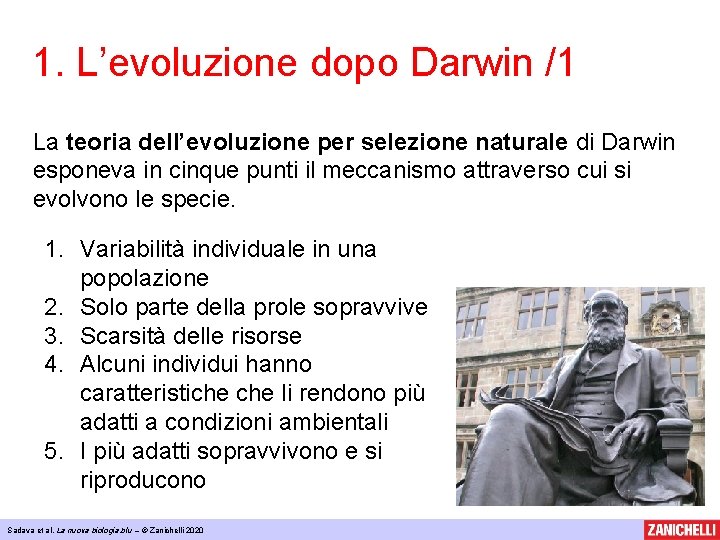 1. L’evoluzione dopo Darwin /1 La teoria dell’evoluzione per selezione naturale di Darwin esponeva