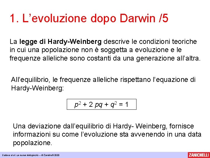 1. L’evoluzione dopo Darwin /5 La legge di Hardy-Weinberg descrive le condizioni teoriche in