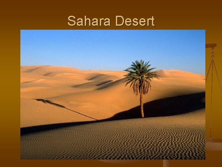 Sahara Desert 