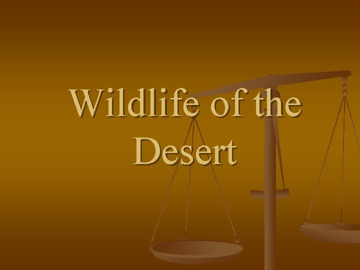 Wildlife of the Desert 