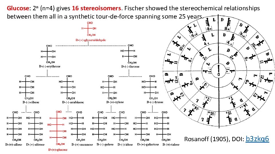 Glucose: 2 n (n=4) gives 16 stereoisomers. Fischer showed the stereochemical relationships between them