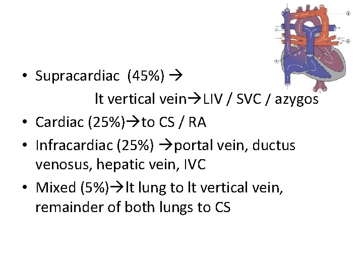  • Supracardiac (45%) lt vertical vein LIV / SVC / azygos • Cardiac