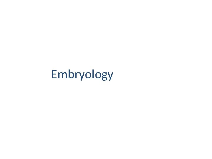 Embryology 