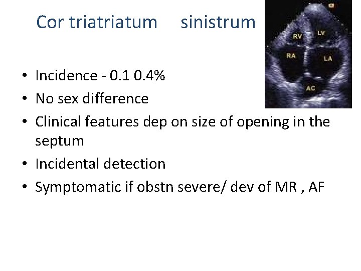 Cor triatum sinistrum • Incidence - 0. 1 0. 4% • No sex difference Cor triatum sinistrum • Incidence - 0. 1 0. 4% • No sex difference
