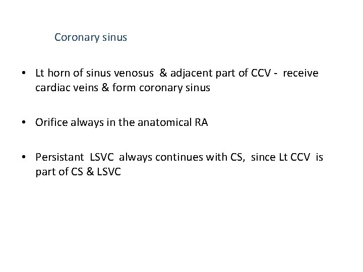 Coronary sinus • Lt horn of sinus venosus & adjacent part of CCV -