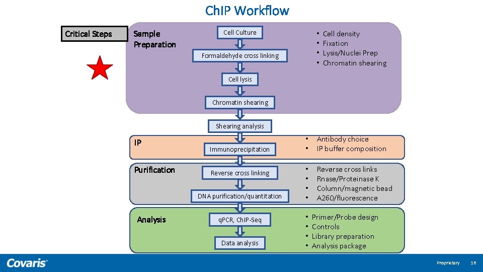 Ch. IP Workflow Critical Steps Sample Preparation Cell Culture • • Formaldehyde cross linking