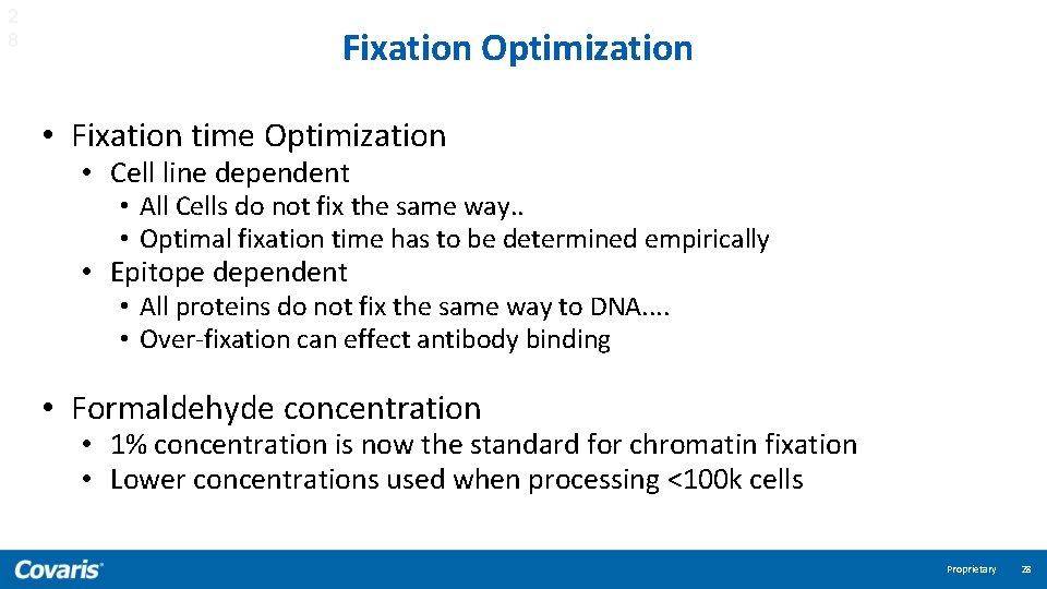 2 8 Fixation Optimization • Fixation time Optimization • Cell line dependent • All