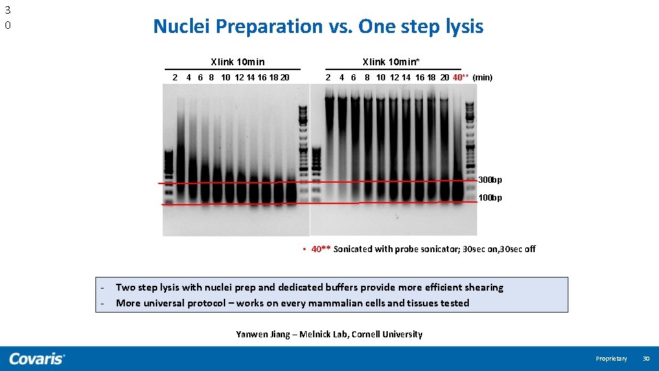 3 0 Nuclei Preparation vs. One step lysis Xlink 10 min 2 4 6