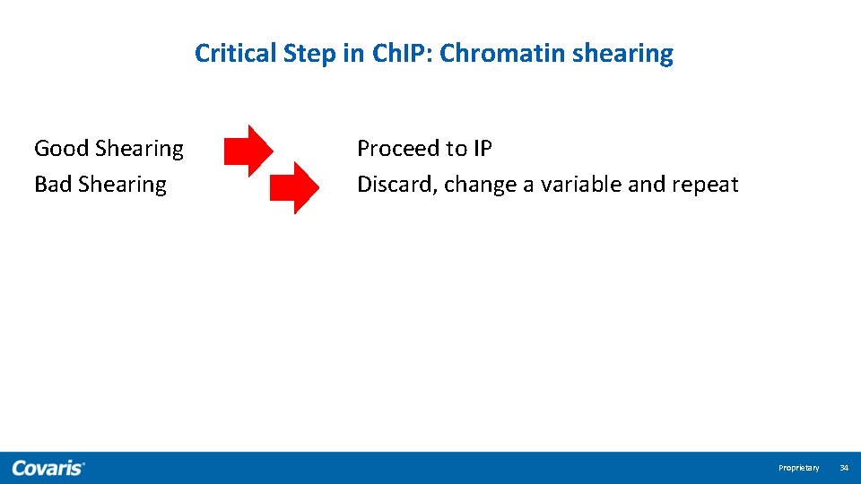 Critical Step in Ch. IP: Chromatin shearing Good Shearing Bad Shearing Proceed to IP