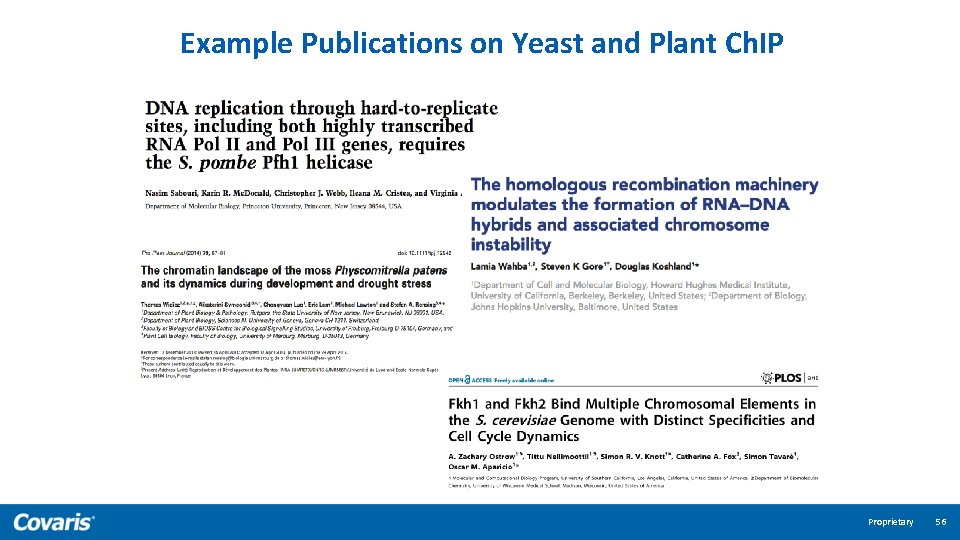 Example Publications on Yeast and Plant Ch. IP Proprietary 56 