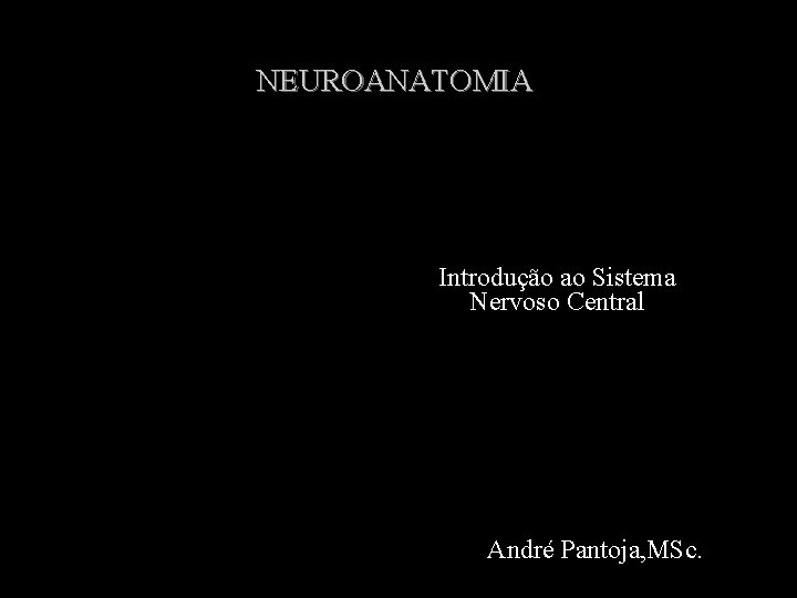 NEUROANATOMIA Introdução ao Sistema Nervoso Central André Pantoja, MSc. 
