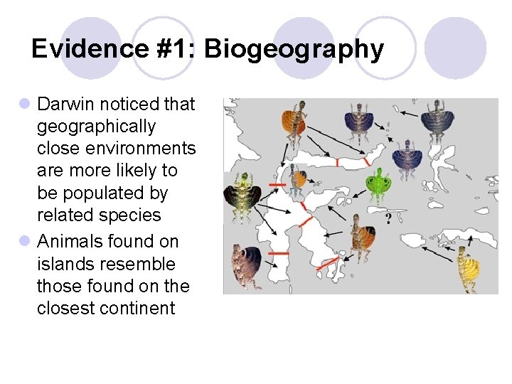 Evidence #1: Biogeography l Darwin noticed that geographically close environments are more likely to