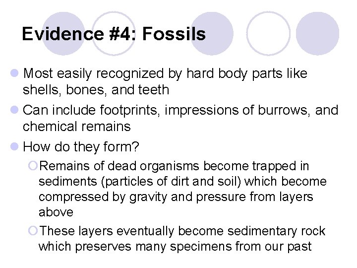 Evidence #4: Fossils l Most easily recognized by hard body parts like shells, bones,