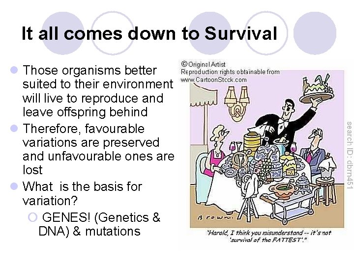 It all comes down to Survival l Those organisms better suited to their environment