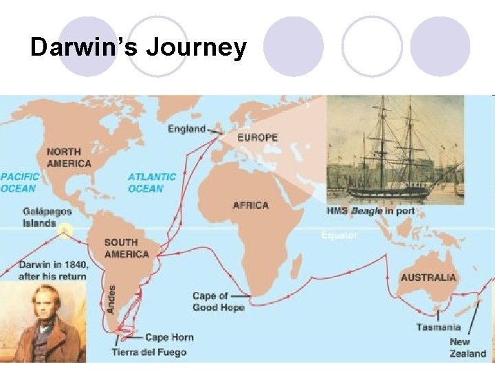 Darwin’s Journey 