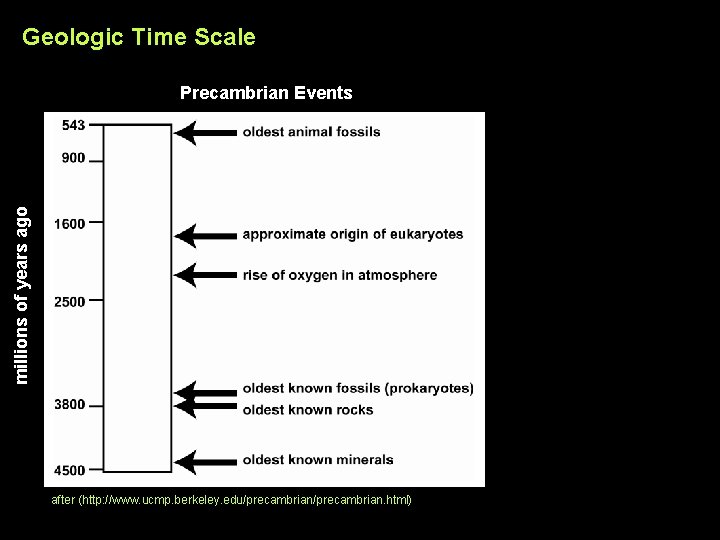 Geologic Time Scale millions of years ago Precambrian Events after (http: //www. ucmp. berkeley.