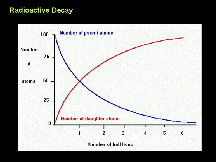 Radioactive Decay 