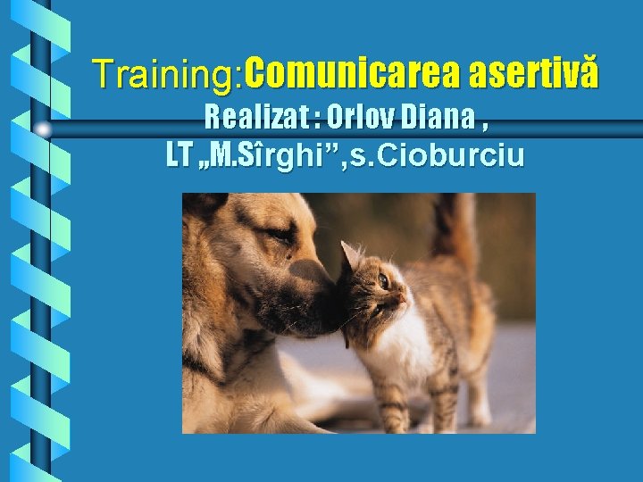 Training: Comunicarea asertivă Realizat : Orlov Diana , LT , , M. Sîrghi”, s.