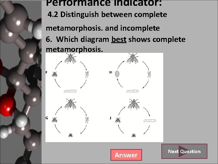 Performance Indicator: 4. 2 Distinguish between complete metamorphosis. and incomplete 6. Which diagram best