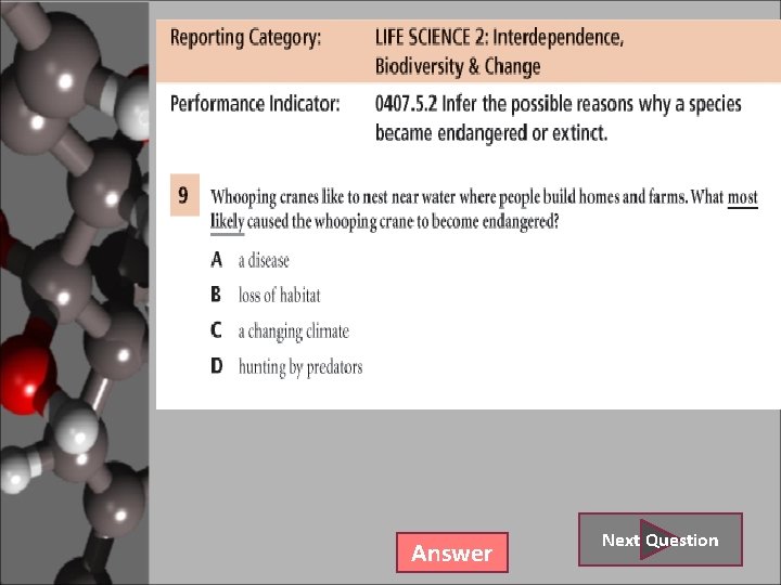 Answer Next Question 