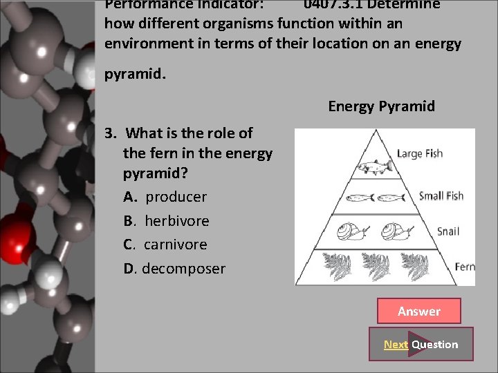 Performance Indicator: 0407. 3. 1 Determine how different organisms function within an environment in