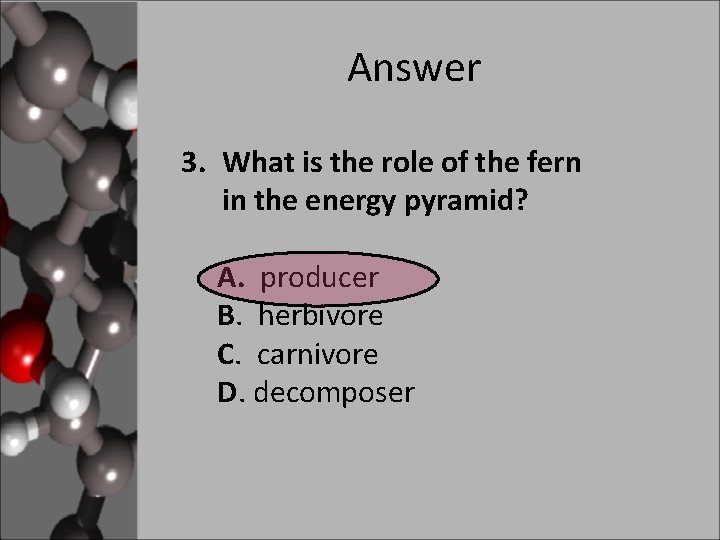 Answer 3. What is the role of the fern in the energy pyramid? A.