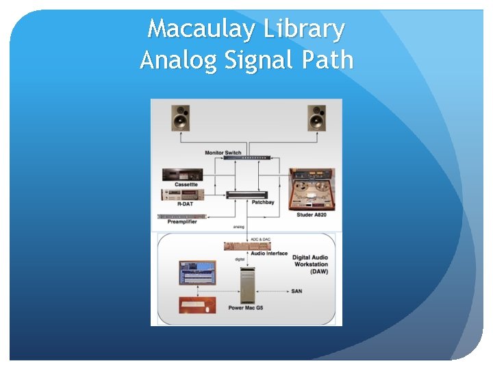 Macaulay Library Analog Signal Path Macaulay Library Analog Signal Path
