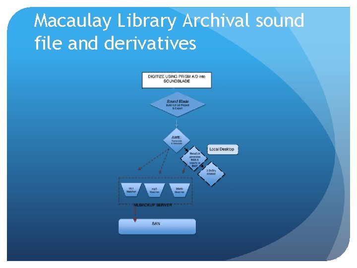 Macaulay Library Archival sound file and derivatives Macaulay Library Archival sound file and derivatives