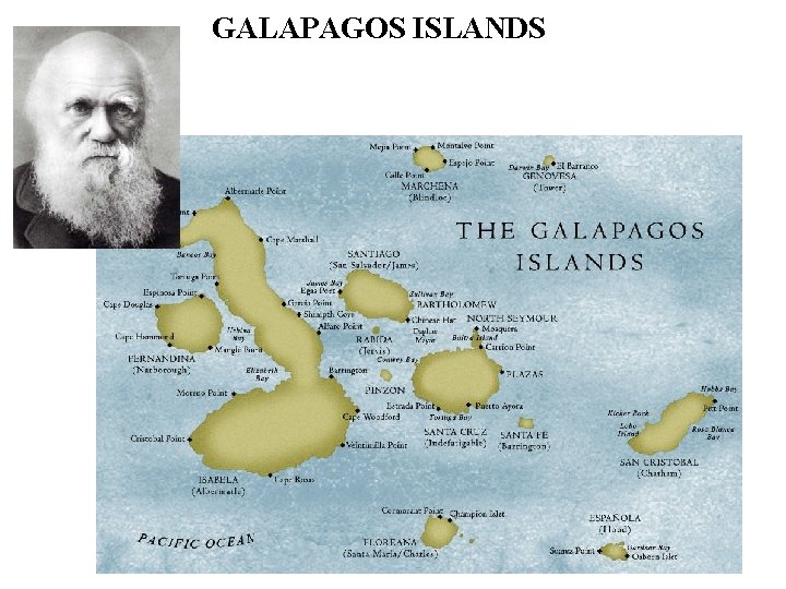 GALAPAGOS ISLANDS 