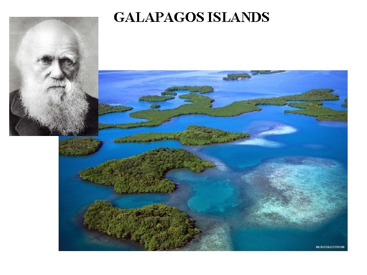 GALAPAGOS ISLANDS 