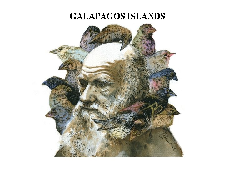 GALAPAGOS ISLANDS 