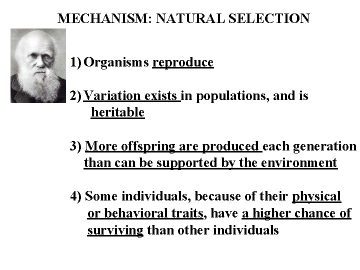 MECHANISM: NATURAL SELECTION 1) Organisms reproduce 2) Variation exists in populations, and is heritable