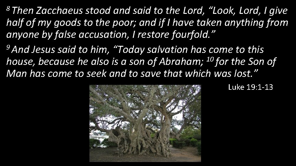 8 Then Zacchaeus stood and said to the Lord, “Look, Lord, I give half